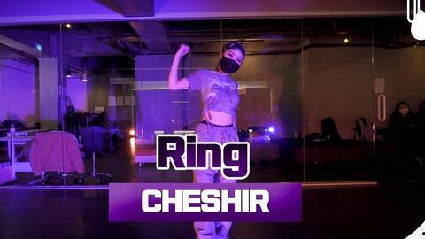 销售跳舞原视频爆料,火爆网络背后的秘密与幕后故事 第2张 销售跳舞原视频爆料,火爆网络背后的秘密与幕后故事 第2张