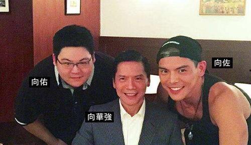 网红爆料向华强视频大全,向华强视频大全，揭秘娱乐圈幕后大佬的真实生活  第3张