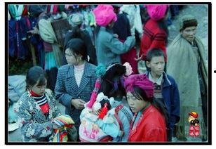 在线观看赶场 第2张 在线观看赶场 第2张